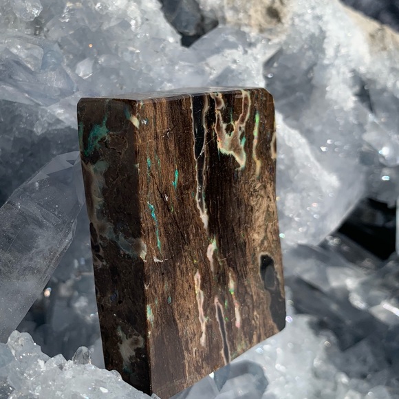 Precious conk opal - Picture 4 of 7